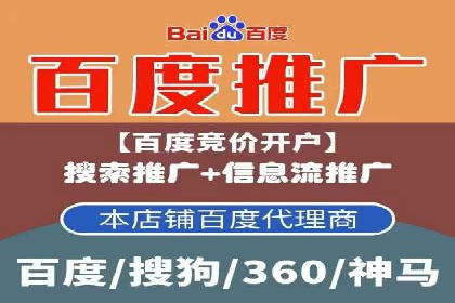 大型企业SEM外包实战案例